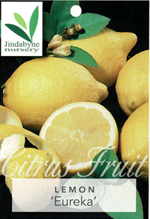 Lemon - Eureka Lemon - Eureka