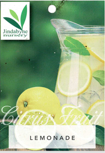Lemon - Lemonade Lemon - Lemonade