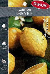 Lemon - Meyer - Dwarf Lemon - Meyer - Dwarf