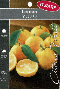Lemon - Yuzu - Dwarf Lemon - Yuzu - Dwarf