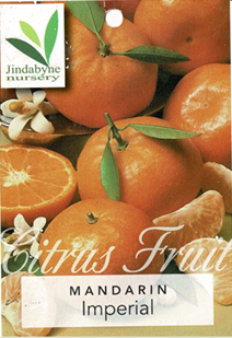 Mandarin - Imperial Mandarin - Imperial