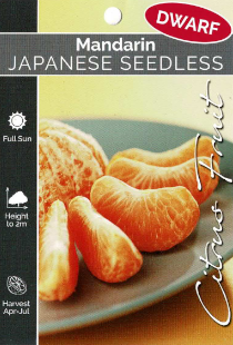 Mandarin - Japanese Seedless - Dwarf Mandarin - Japanese Seedless - Dwarf