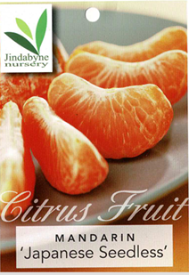 Mandarin - Japanese Seedless Mandarin - Japanese Seedless