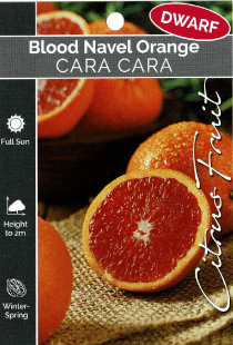Orange - Blood Navel Orange - Cara Cara - Dwarf Orange - Blood Navel Orange - Cara Cara - Dwarf